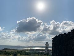-涉地可支