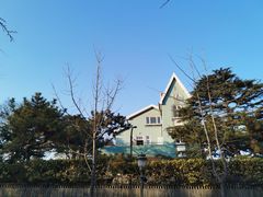 -八大关景区