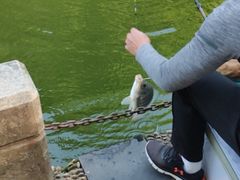 -人民公园(罗湖区)