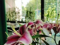 -上林铁板烧(延安西路店)