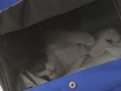 -中农大我爱我爱动物医院·核磁CT·猫病·24小时夜诊中心(石佛营店)