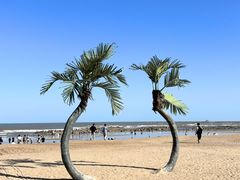 -巧克力渔家.小船海鲜胶东菜(三浴场店)