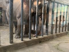 -石家庄市动物园