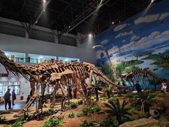-自贡恐龙博物馆