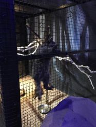 -酷嗒动物文化乐园(cutezoo西溪乐天城店)