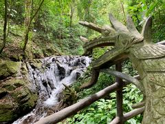 -莫里热带雨林景区