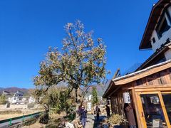 -塔川景区