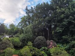-乌山风景区