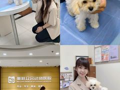 -美联众合动物医院·24h京西诊疗中心