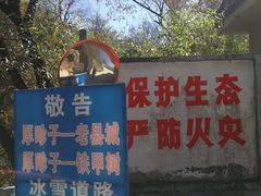 -黑河国家森林公园
