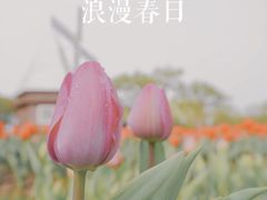 -大宁公园