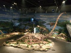 -自贡恐龙博物馆