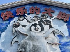 -海合安成都极地海洋公园