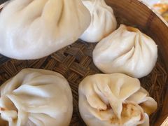 -清真·安乐园菜馆(茶南店)