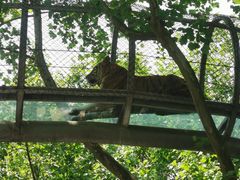 -宁波野生动物园