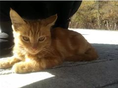 -叠溪松坪沟景区