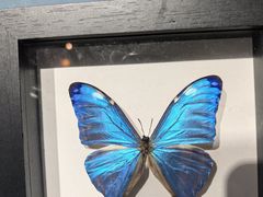 -萌宠奇缘(荣鼎店)