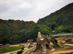 -杭州野生动物世界