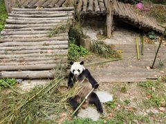 -黔灵山公园