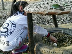 -武汉紫薇都市田园