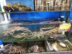 -蚝专家(北滘店)