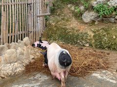 -泉州海丝野生动物世界