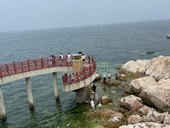 -养马岛旅游度假区