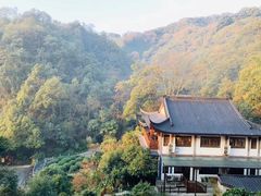 -十八棵（老龙井）御茶园(老龙井店)