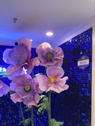 -深圳春天阳光医院·轮廓抗衰中心