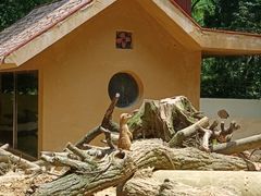 -杭州少年儿童公园