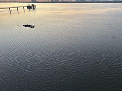 -澜亭中餐厅·一线江景·尊蓝豪华精选