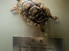 -大连自然博物馆