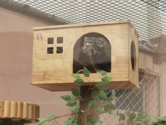 -青藏高原野生动物园