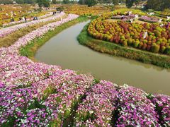 -花开海上生态园