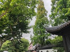 -上海醉白池公园