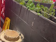 -渔港烤鱼(中百广场店)