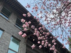 -星巴克臻选(成都宽窄巷子店)