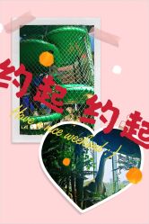 -恐龙探索乐园(磁器口店)