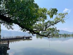 -西昌邛海湿地
