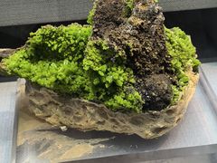 -湖南省地质博物馆