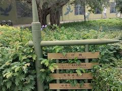 -大嶝英雄三岛战地观光园