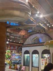 -卡通尼·Safari非洲探索乐园·生日会(金桥国际商业广场店)