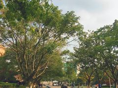 -四川大学(望江校区)