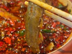 -情妹耙泥鳅·江湖川菜(科华店)