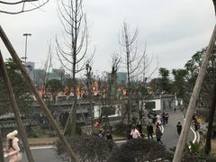 -枫香湖儿童公园