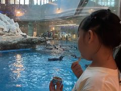 -帝企鹅自助餐厅•儿童岛•真企鹅(长隆企鹅酒店)