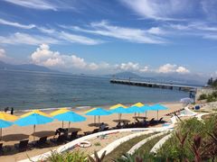 -采粤轩中餐厅(惠州金海湾喜来登度假酒店)