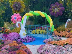 -上海共青森林公园