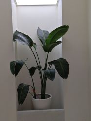 -头道汤头疗养生馆