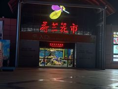 -荷兰花海